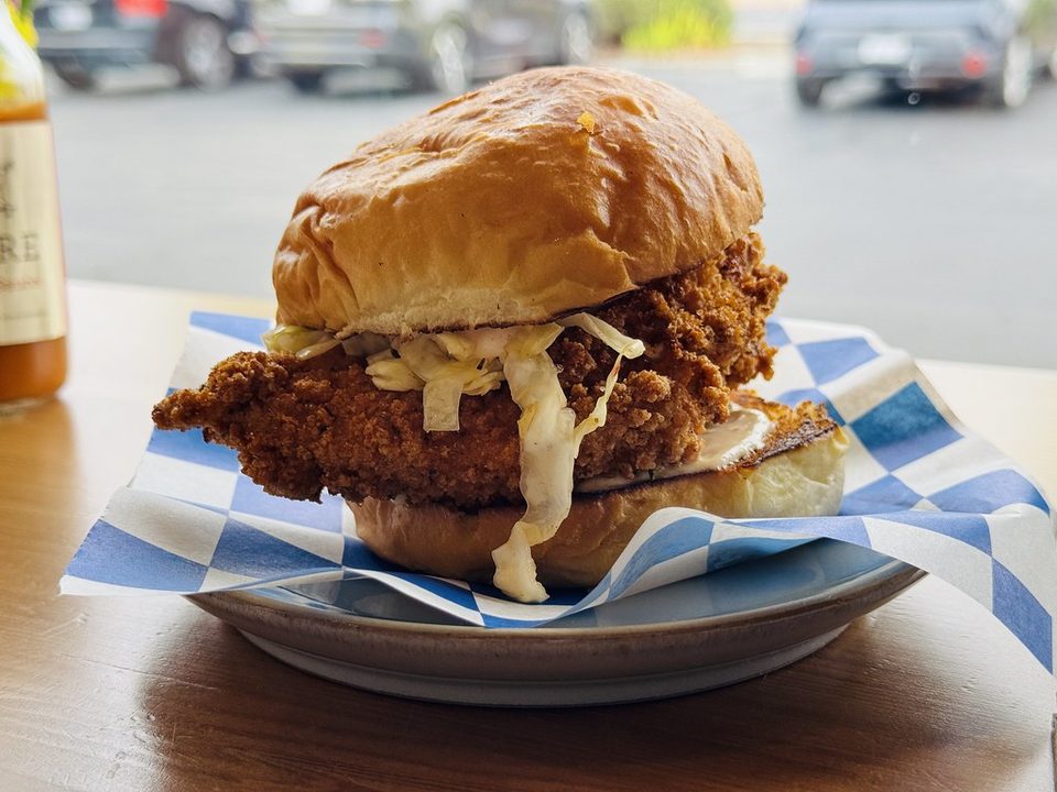 Crispy fried chicken sandwich with slaw on a toasted bun